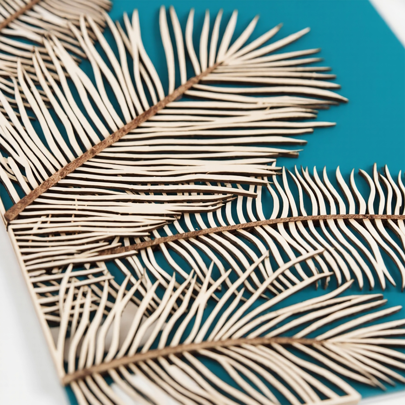 Palm Leaf (R)