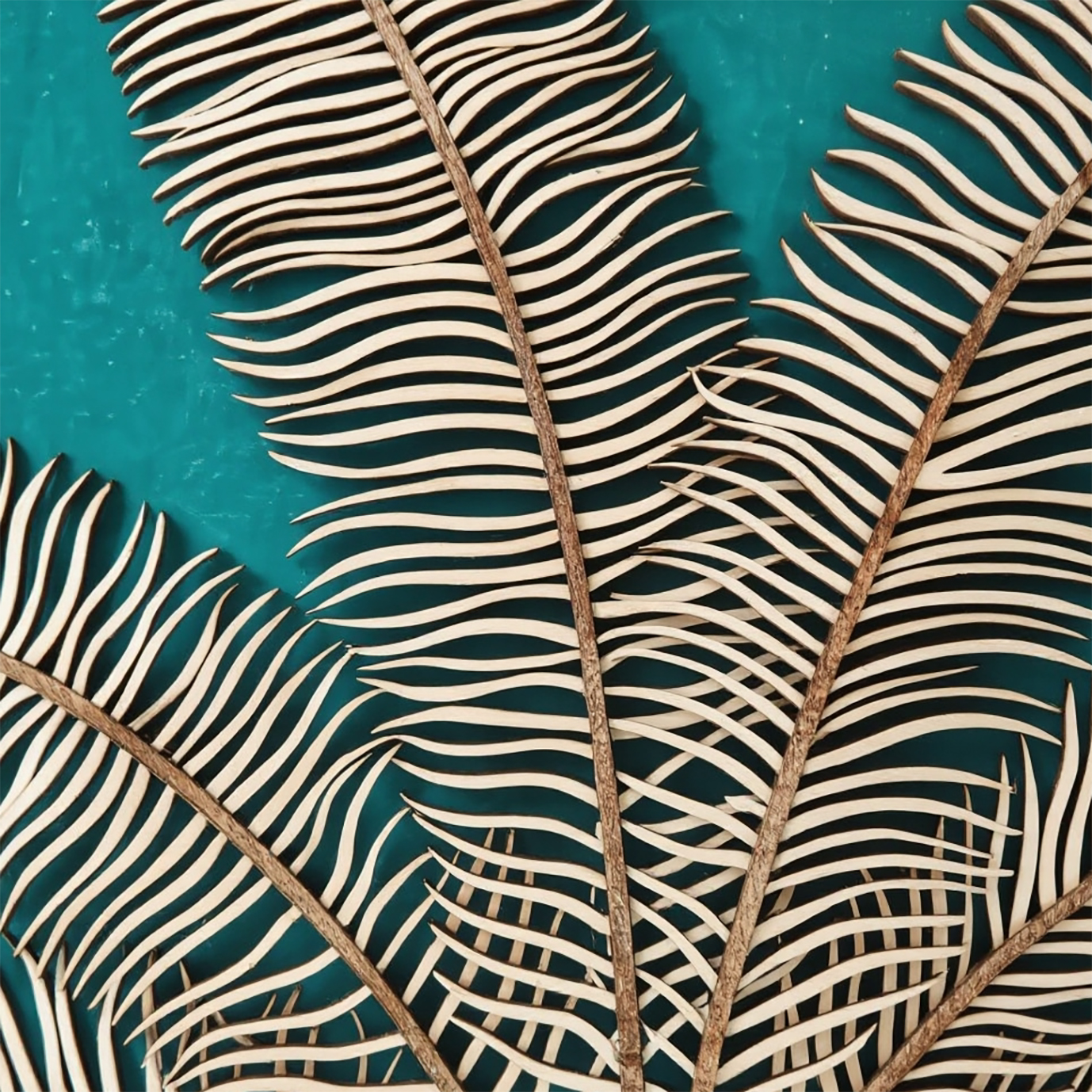 Palm Leaf (C)