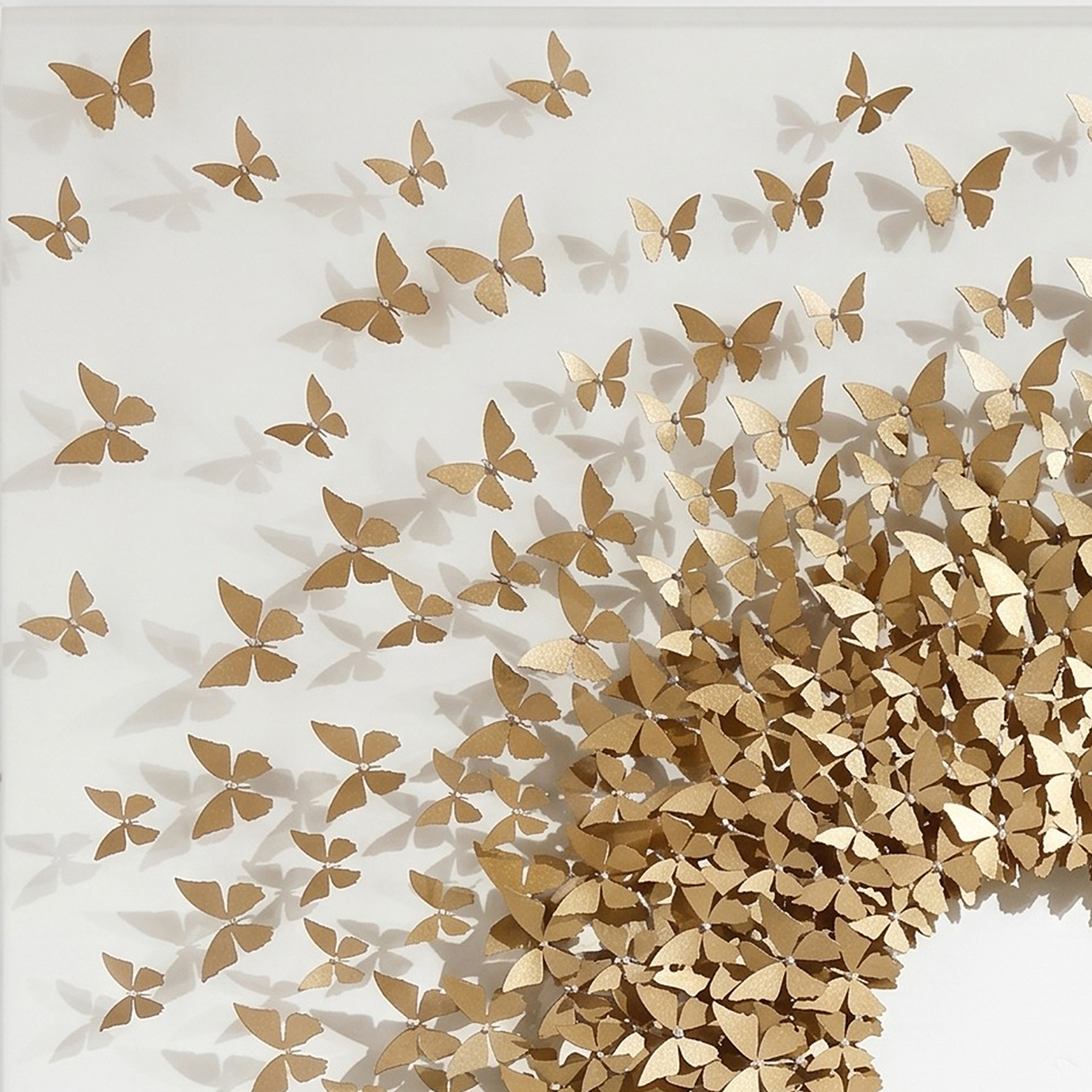 Butterfly Soar