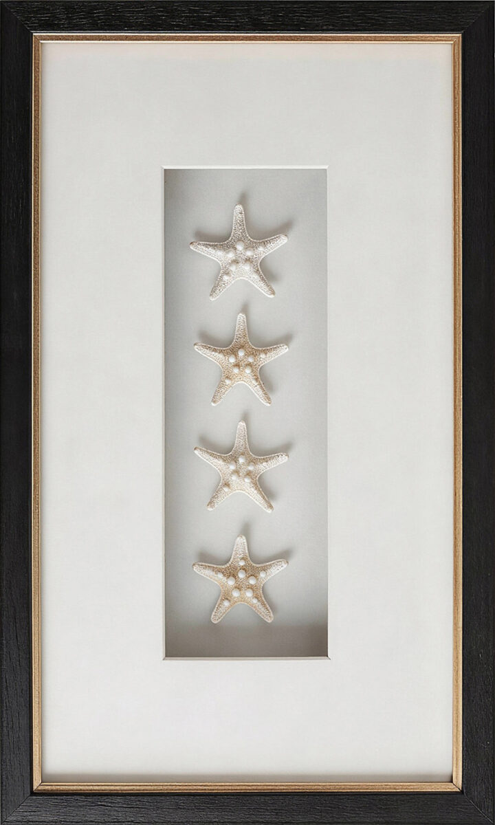 Starfish