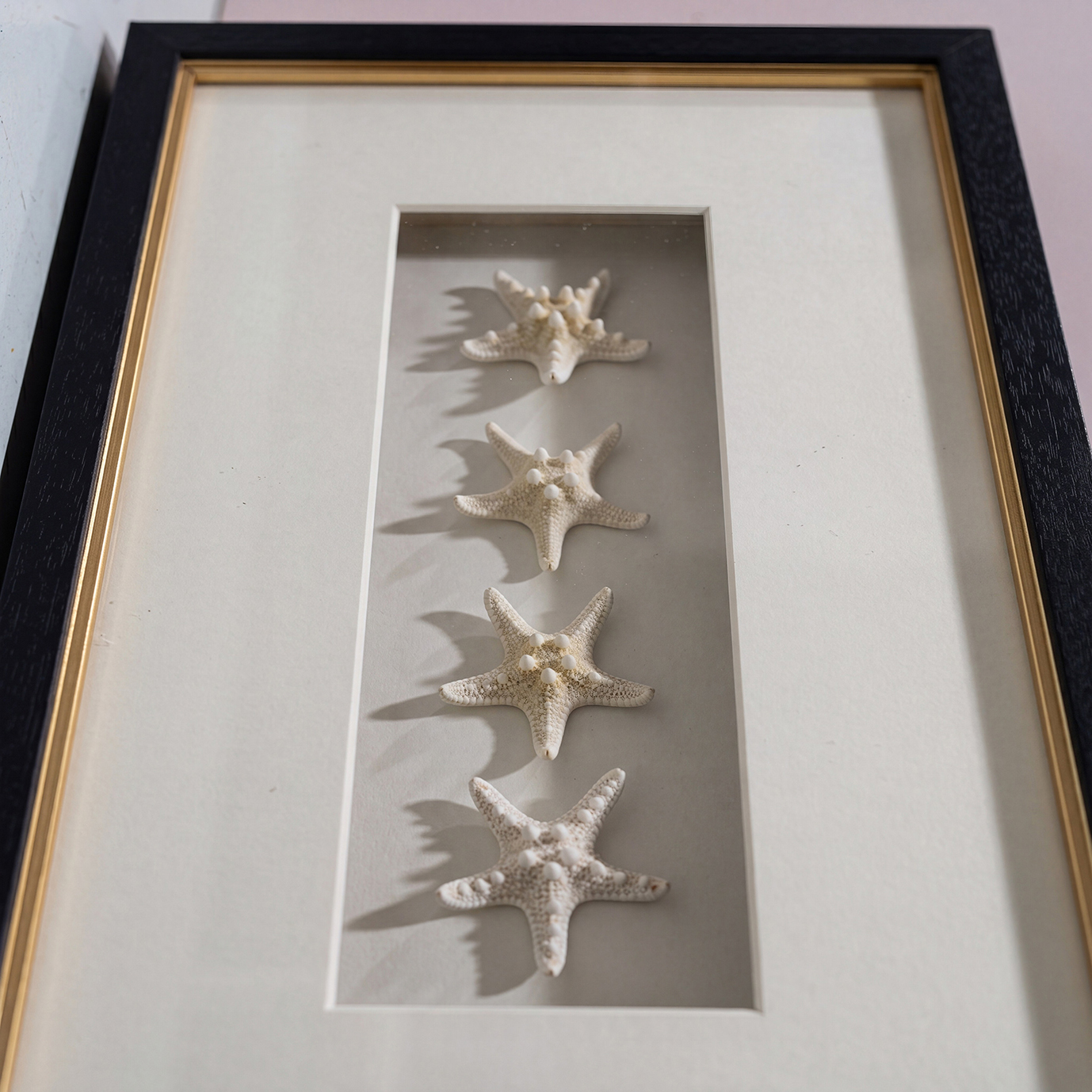 Starfish