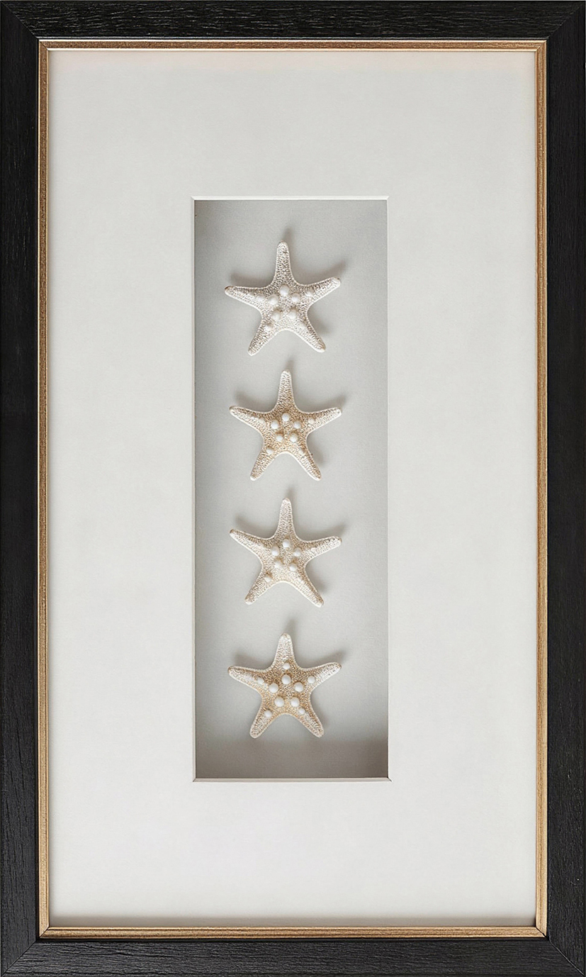 Starfish