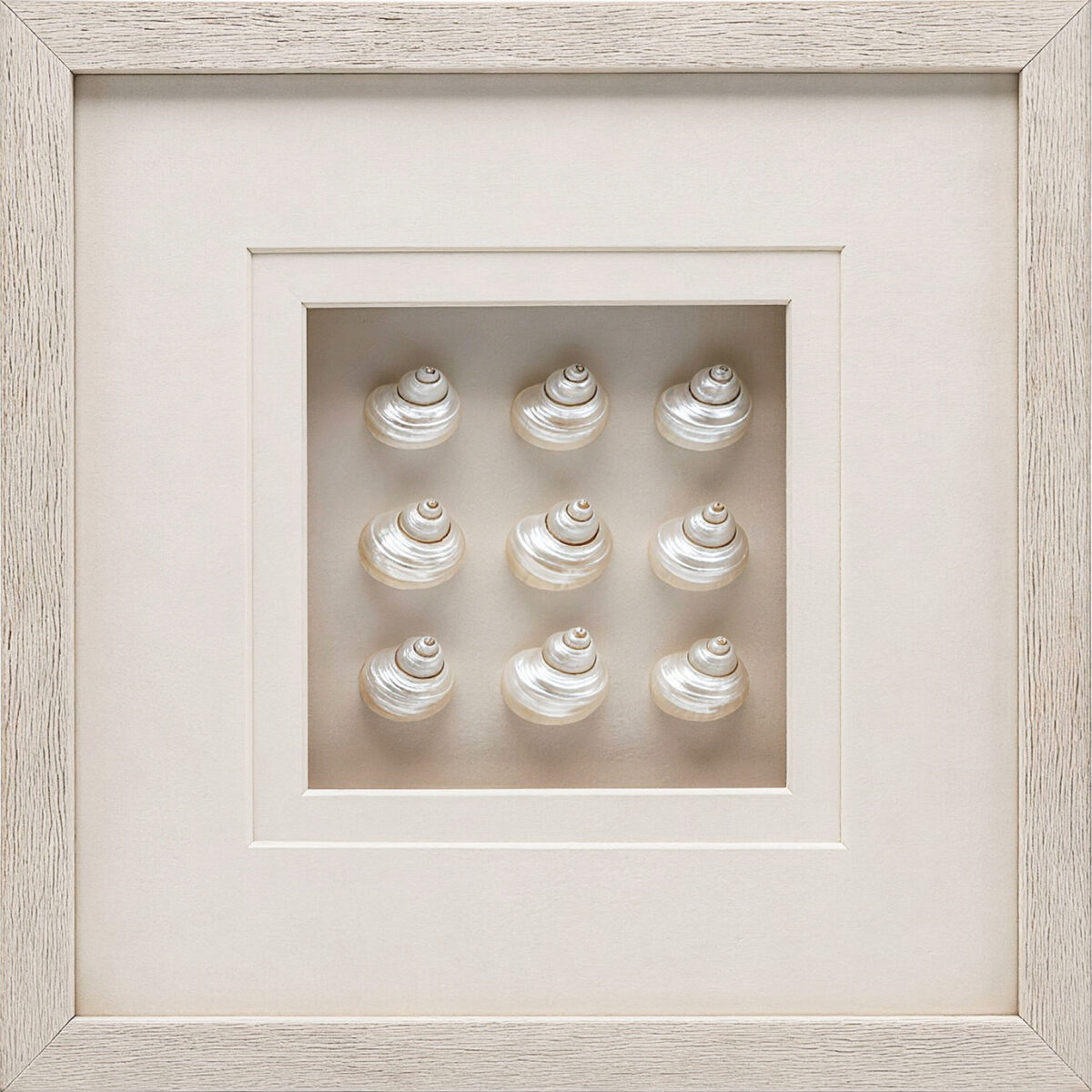 Nine Snail