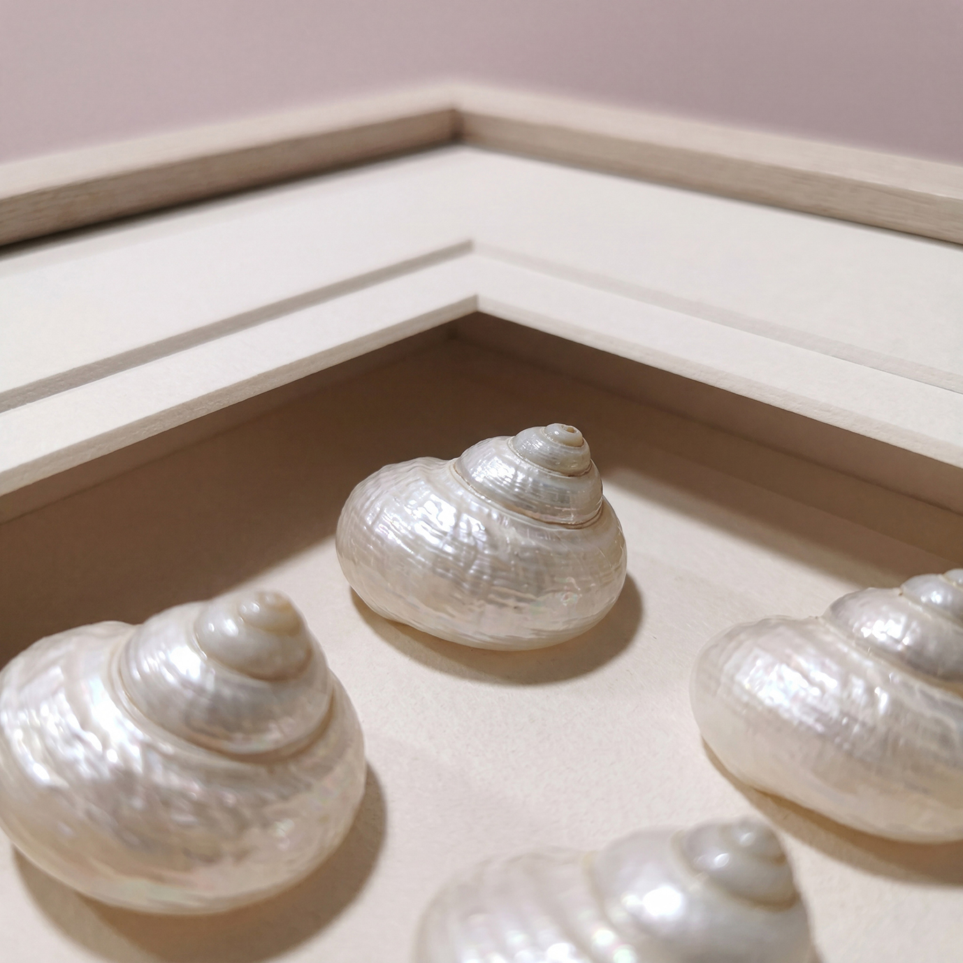 Nine Snail