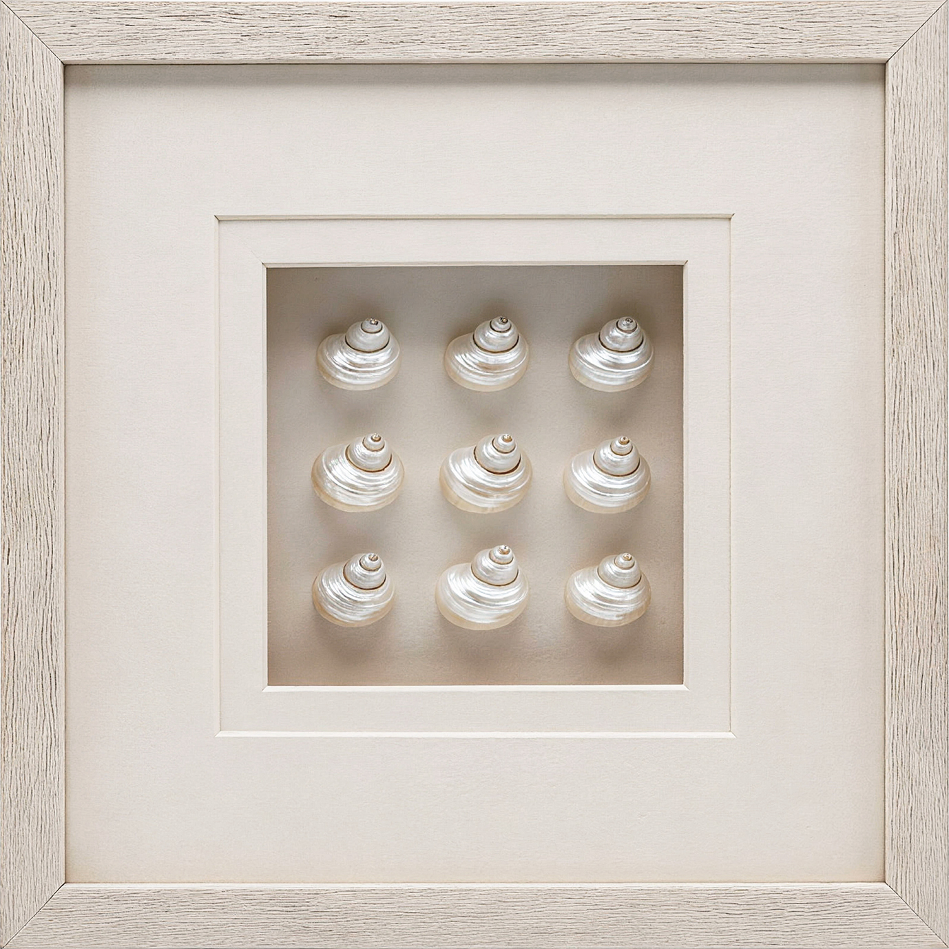 Nine Snail